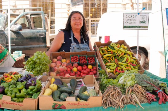 Grace Teresi of Miramonte Farms says her vegetables are firmer and less juicy, but as good as before the drought. (Photo by Elisabetta Silvestro/Bay News Rising)