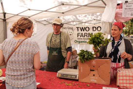 Mark Bartle of Two Dog Farm and an employee Tallia help a customer at the Heart of the City Farmers’ Market. (Photo by Elisabetta Silvestro/Bay News Rising)